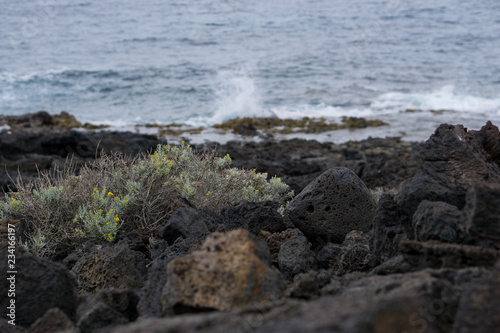 Dark lava rocks with Atlantic coast