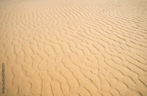 Sandy beach for background. Top view