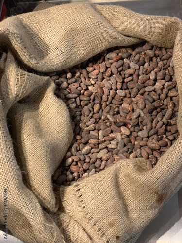 Kakaobohnen