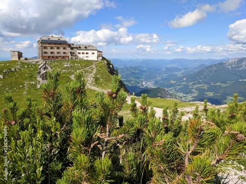 Yellow alpine flowers with an old lodge and blue sky