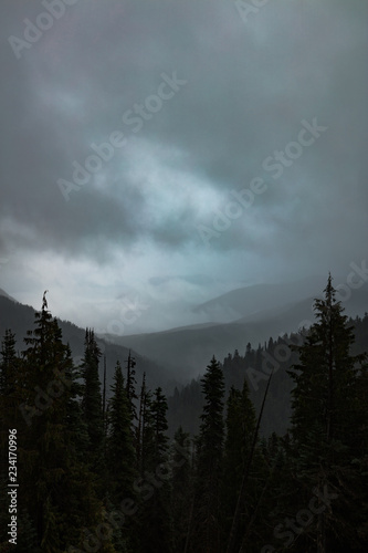 Misty mountain forest in the Pacific Northwest as the clouds and fog roll though the forest valley below
