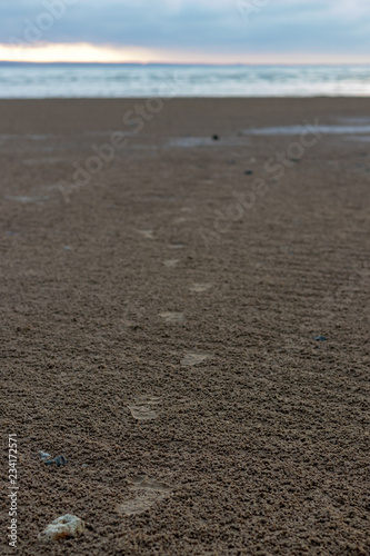 Foot prints on sandy beach