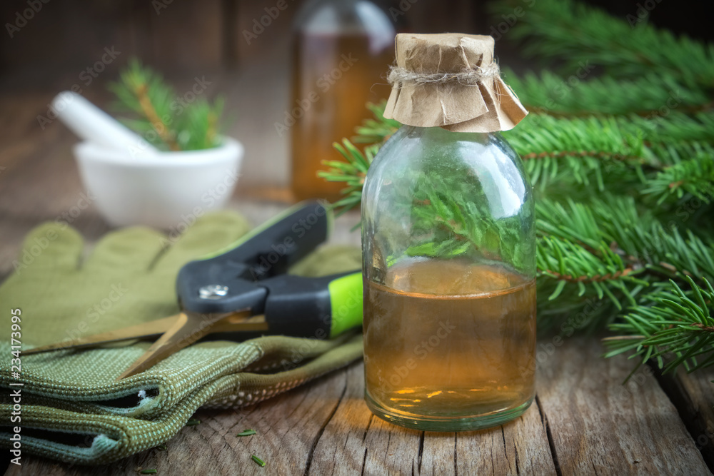 Fir aromatic oil. Pine essential oil in a glass bottle. Coniferous tree branches, gloves, pruner and mortar on background.