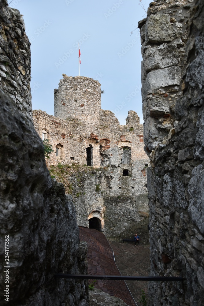 zamek w Ogrodzieńcu - obrazy, fototapety, plakaty 