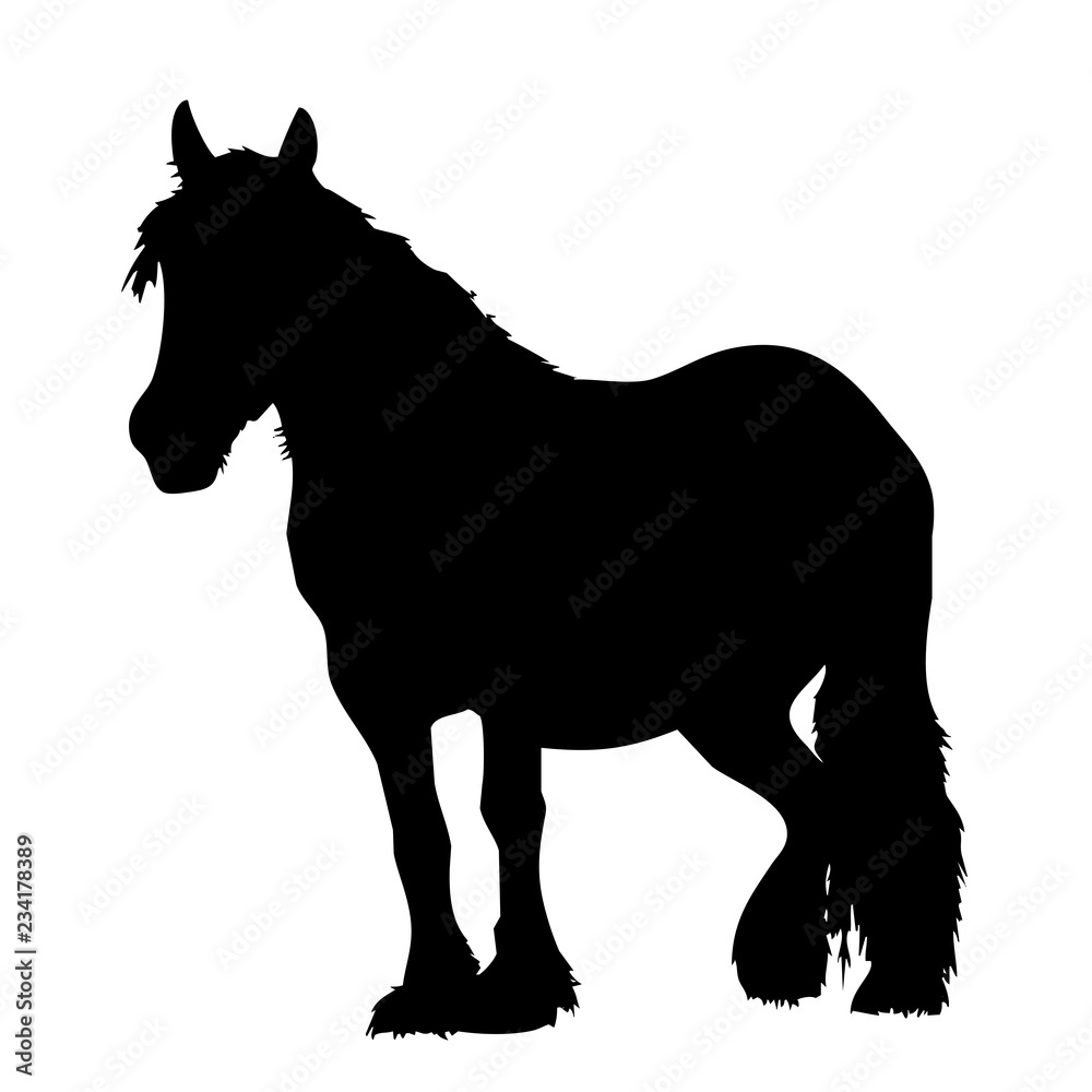 caballo