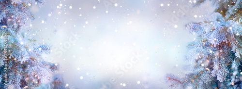 Christmas holiday trees. Border snow background. Snowflakes. Blue spruce, beautiful Christmas and New Year Xmas trees art design, abstract blue widescreen backdrop © Subbotina Anna