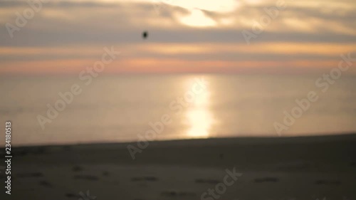 The boy sits on the beach at sunset and throws a stone into the sea.