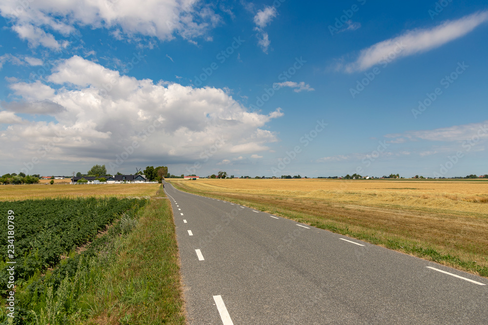 wide field under beautiful blue sky. A Stock photo. wide field under beautiful blue sky. A Stock photo.