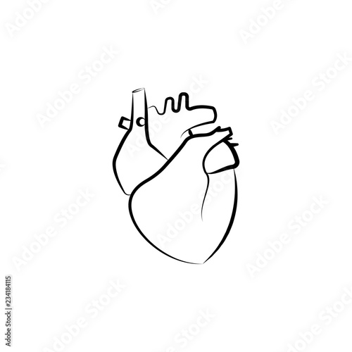 Heart, Organ icon. Element of biology icon for mobile concept and web apps. Hand drawn Heart, Organ icon can be used for web and mobile