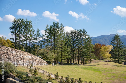 Tableau sur toile Landscape of forest and lawn space ,Shikoku,Japan