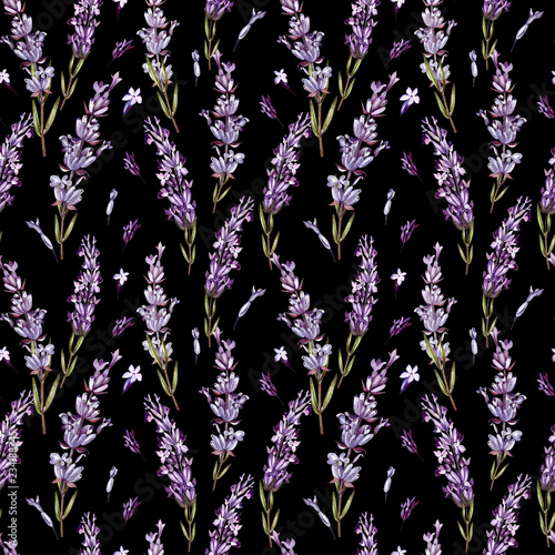 Watercolor pattern with Lavender. Hand painting. Watercolor.