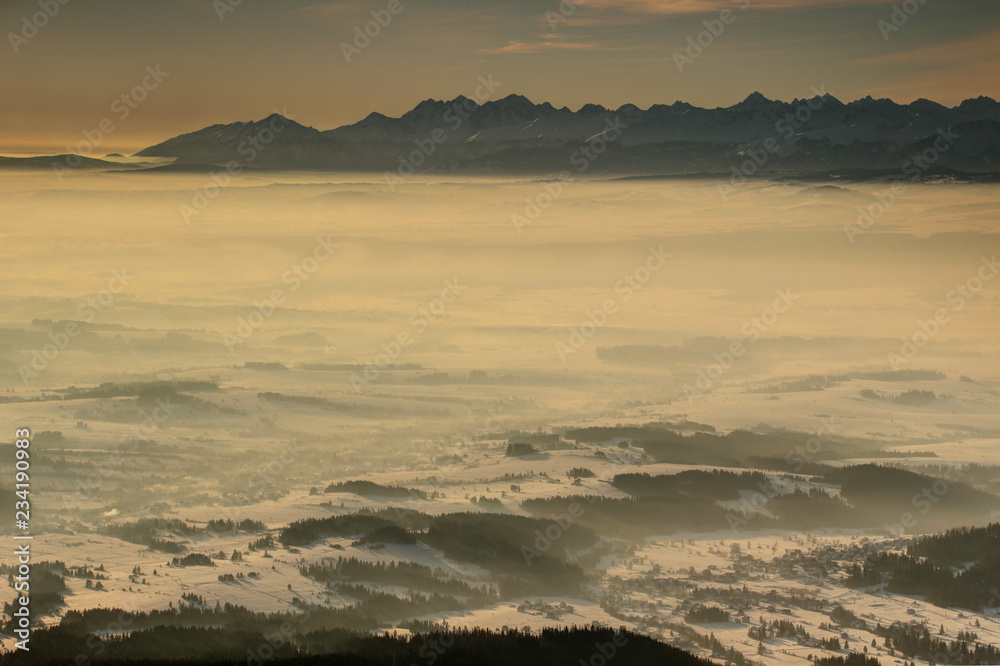 Jagged peaks of Tatry Wysokie / Vysoke Tatry range rise above sea of fog in snowy Podhale basin in glowing sunlight at dawn from Babia Gora summit, Malopolska Zakopane Poland / Slovakia Eastern Europe