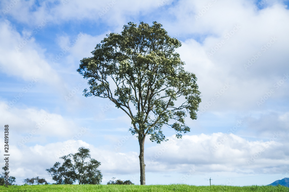 Obraz premium PARQUE PEDRA AZUL DOMINGOS MARTINS