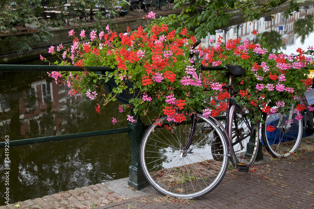 Bicycle on a bridge, Netherlands