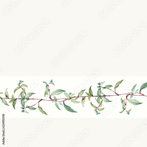 Empty botanical background design vector
