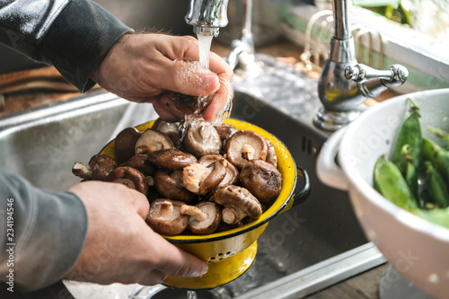 Washing mushrooms in the kitchen sink photo