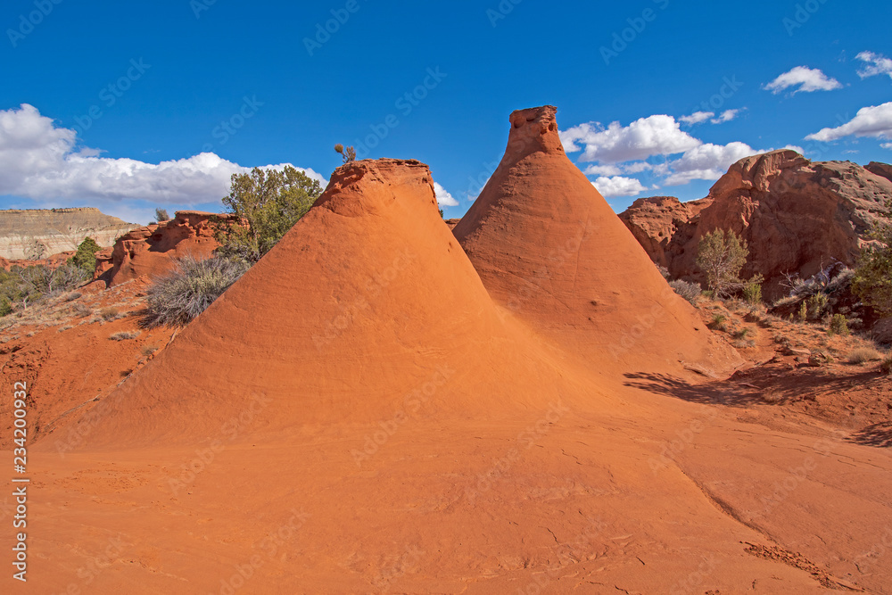 Naklejka premium Weathered Funnels in the Desert