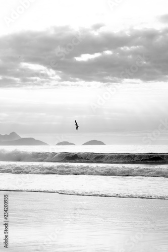 Fototapeta Naklejka Na Ścianę i Meble -  abstract minimalist bird flying in beach black and white photograph