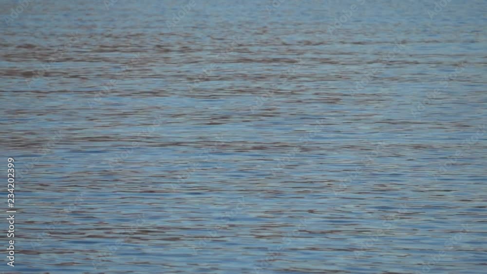 Blue rippling water with reflections on the surface rolling slowly Blue rippling water with reflections on the surface rolling slowly