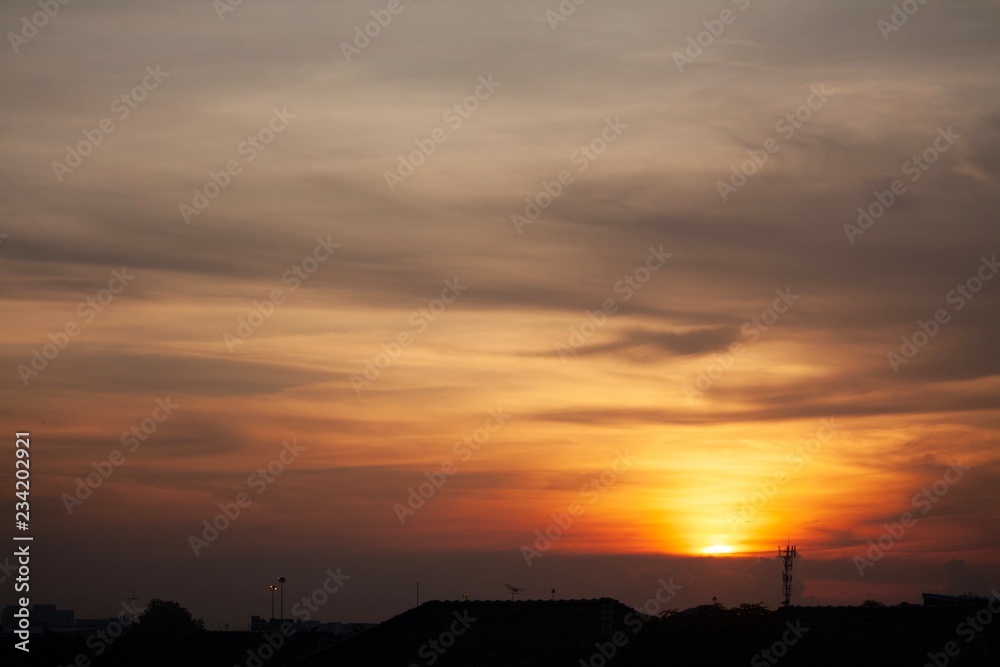 silhouette antenna fish bone with sunset background