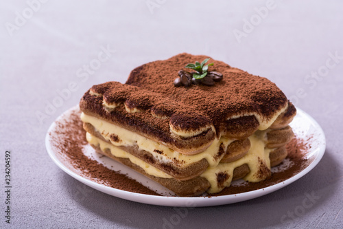 Homemade tiramisu cake