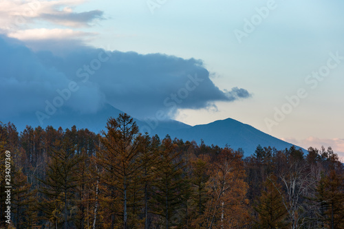 北海道美瑛の風景