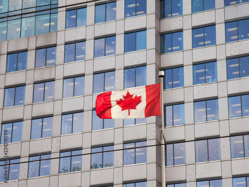 Obraz na płótnie Canadian flag w salonie