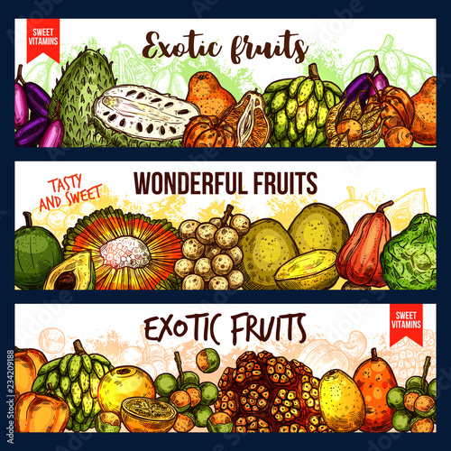 Fruits from exotic countries, sketch vector