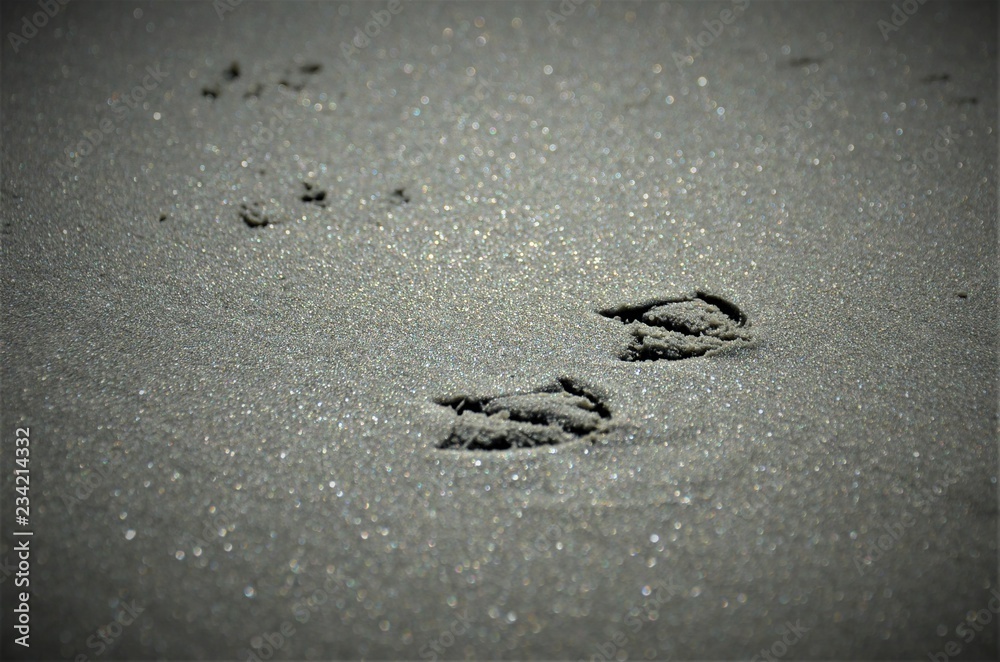 Beach Beach
