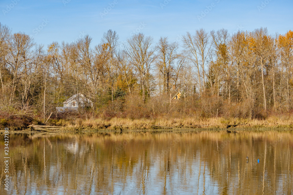 Fototapeta premium riverbank filled with autumn trees with reflection on the water under blue sky.