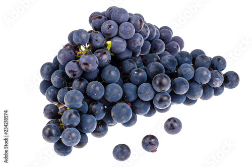 Bunch of blue grapes isolated on white background