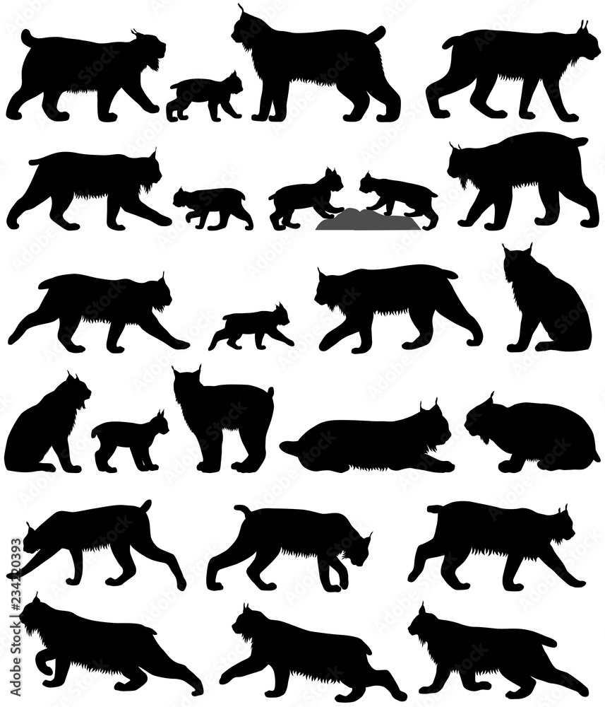 Collection of silhouettes of canadian lynxes and its kittens