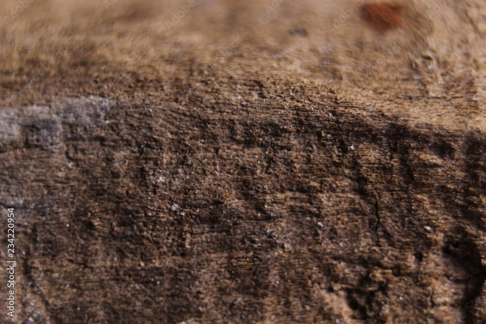 Macro brown wood background Macro brown wood background