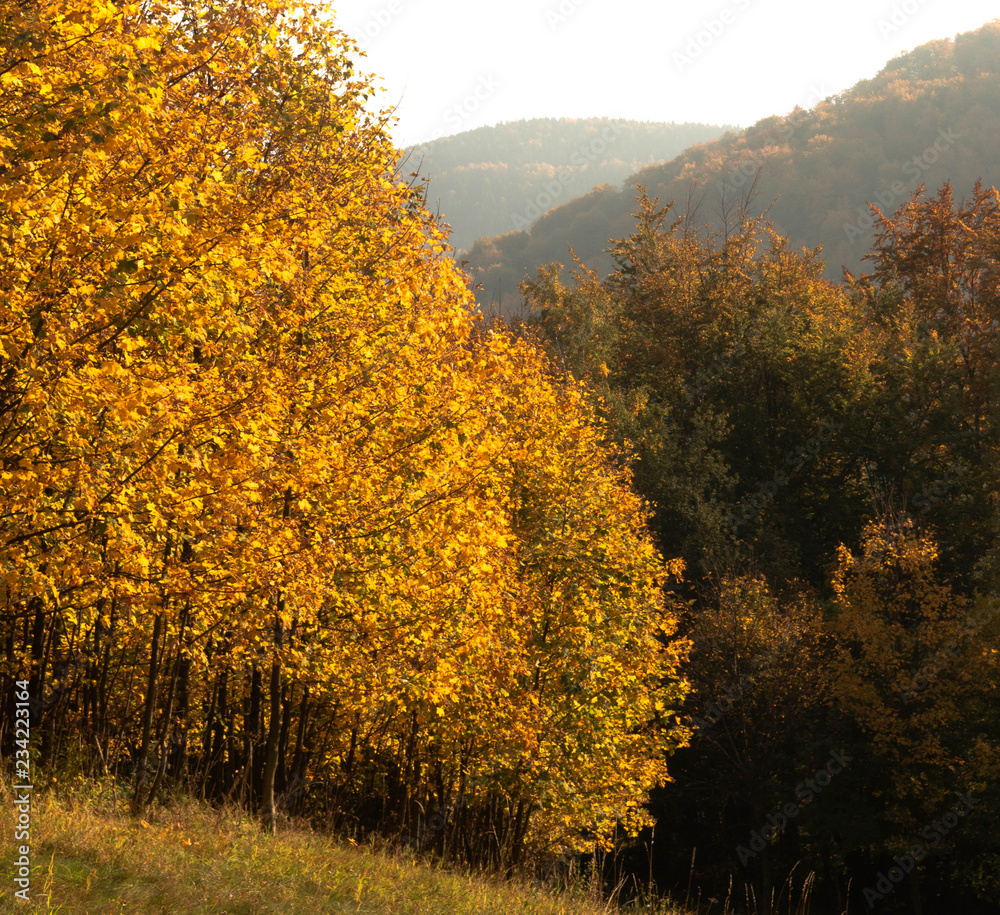 Fototapeta premium Autumn in the mountains