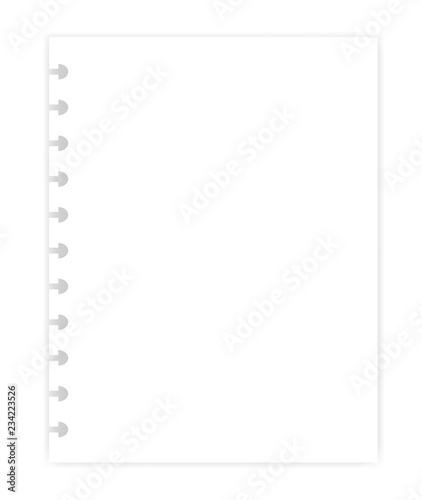 Hole punched white blank filler paper sheet for disc binder, template