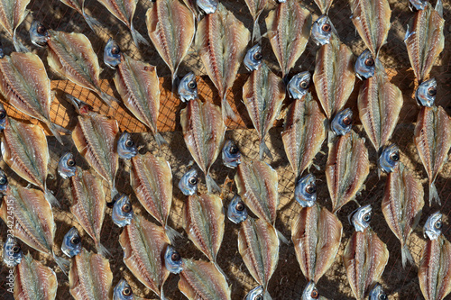 Εκτύπωση καμβά Fresh fish drying in wind and sun at Atlantic ocean coast in Portugal