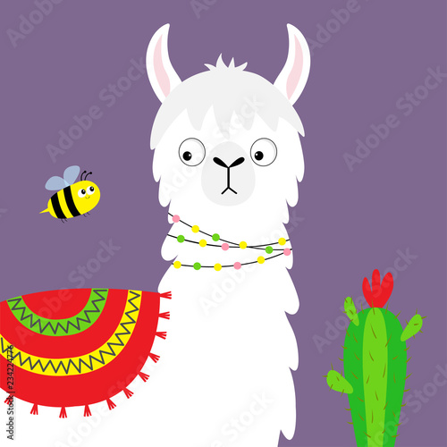 Llama alpaca face, bee, cactus. Childish baby collection. Cute cartoon funny kawaii character. Fluffy hair fur. T-shirt, greeting card, poster template print. Flat design. Violet background.