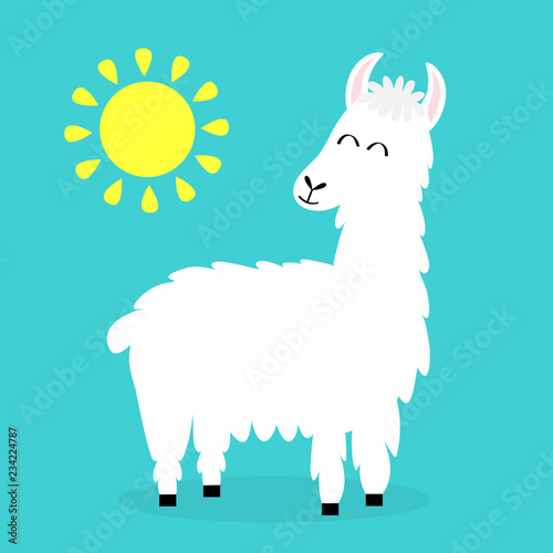 Llama alpaca. Sun shining. Cute cartoon funny kawaii smiling character. Childish baby collection. Fluffy hair fur. T-shirt, greeting card, poster template print. Flat design. Blue background.