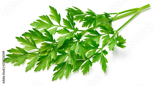 Parsley isolated on white