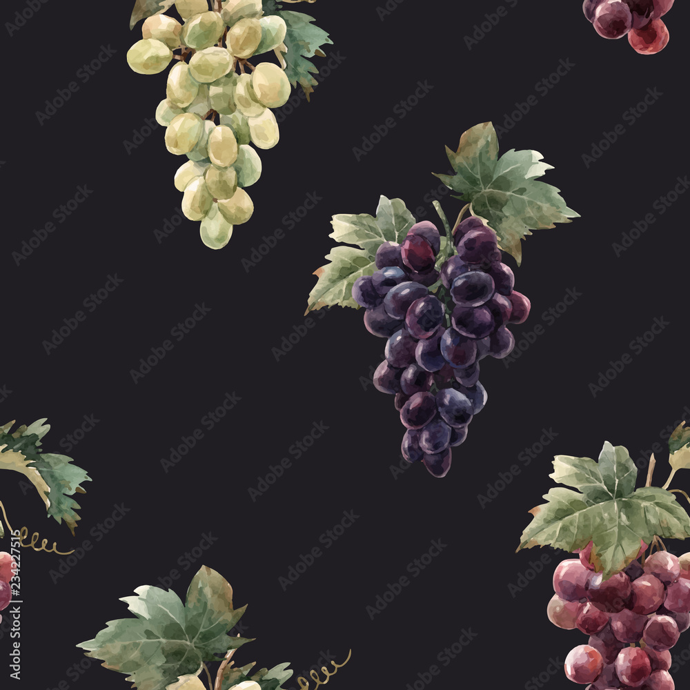 Fototapeta premium Watercolor grape vector pattern