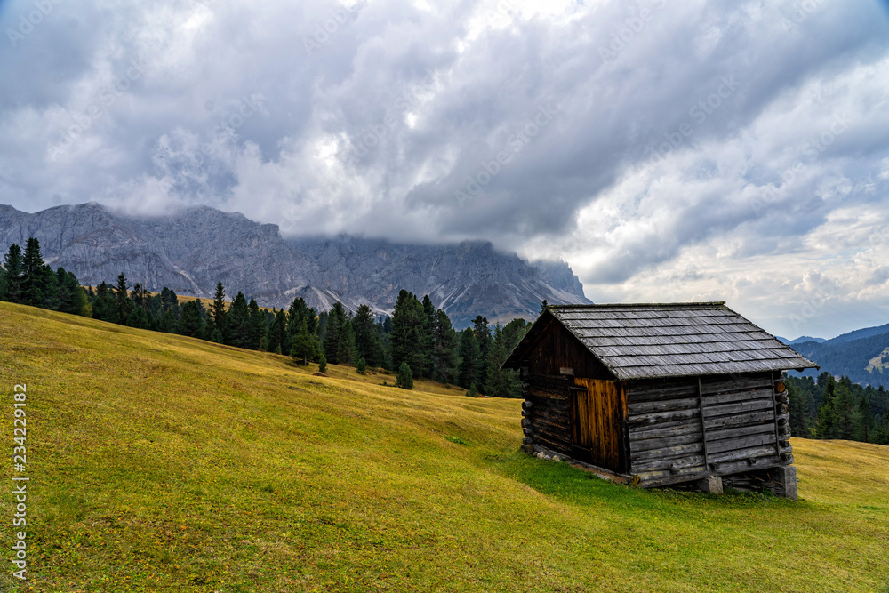Wooden shed on a grassy meadow in a mountains.
