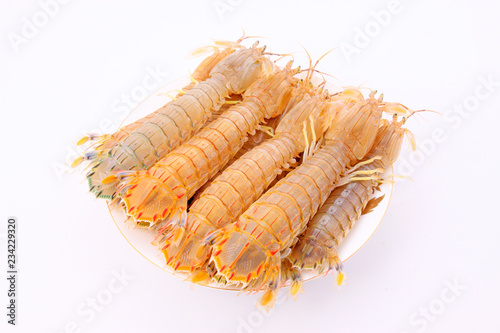 Fresh mantis shrimp on a white background