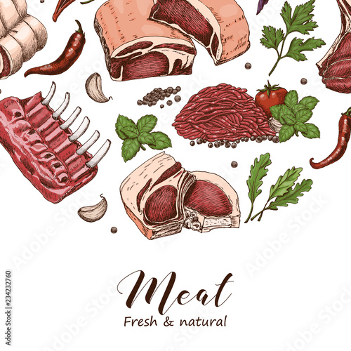 Vector background with different color meats in sketch style.