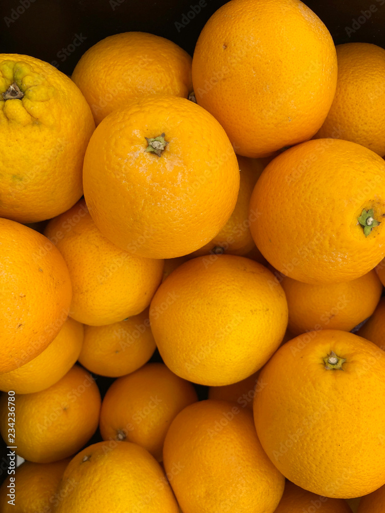closeup group of orange in at the market closeup group of orange in at the market