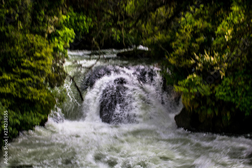 Kaituna River, Rotorua - New Zealand 