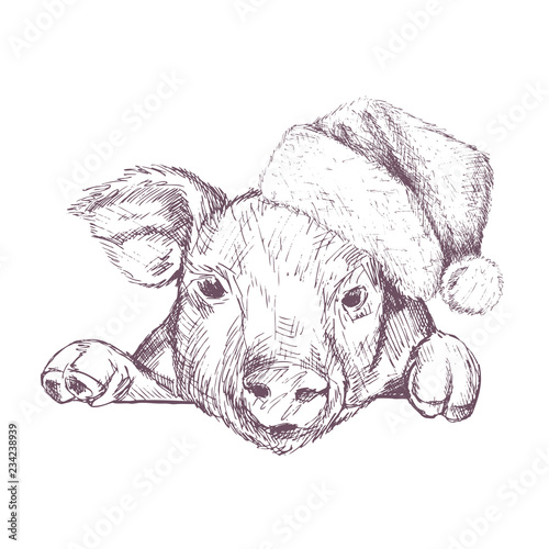 Christmas poster with image a pig portrait in Santa's hat. Vector illustration.