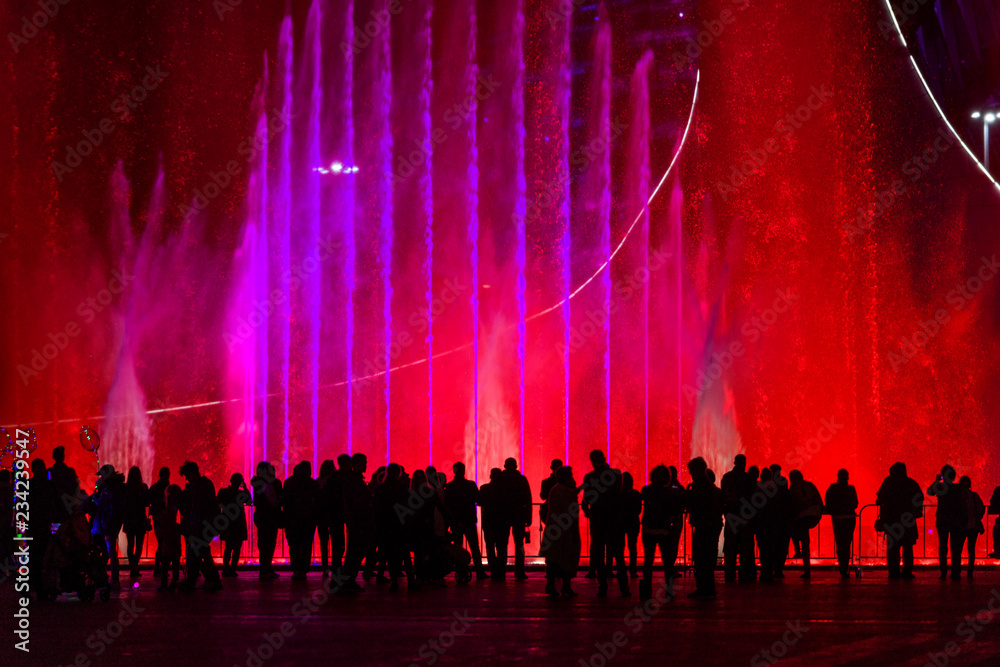 © Alexey Sizov - crowd at the concert