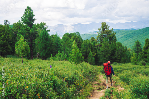 Girl with red large backpack go on footpath across green meadow to coniferous forest. Hiking in mountains. Traveler near conifer trees on summit. Mountain peaks away. Majestic nature of highlands. © Daniil