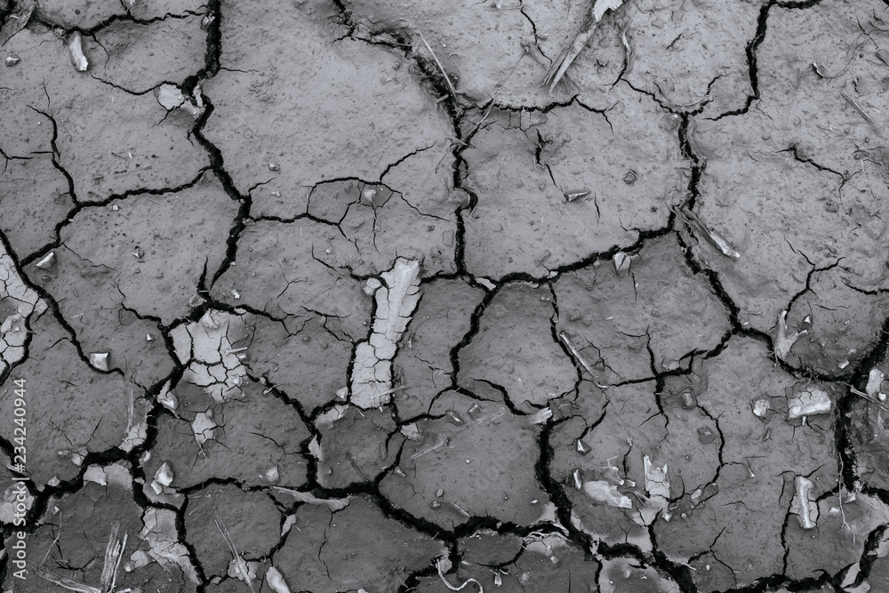 Fototapeta premium Cracks of the dried soil in arid season Monochrome