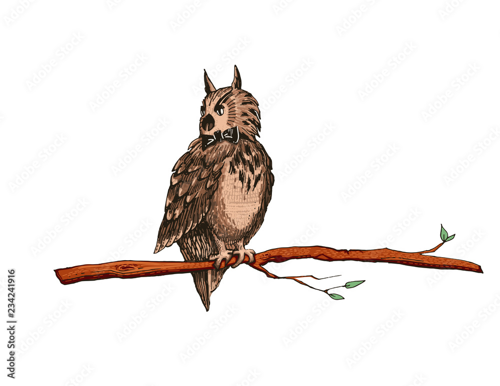 Naklejka premium Owl at night sit on a tree branch. Vector illustration with a bird in cartoon style.